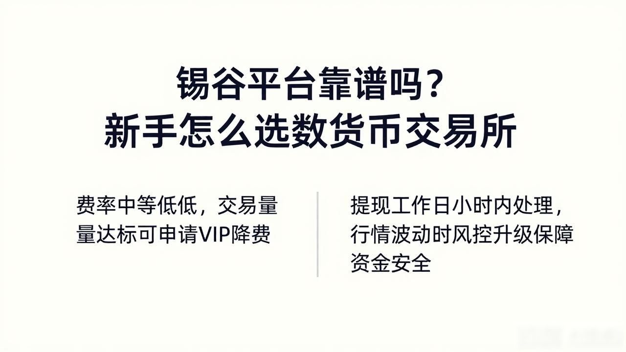 锡谷平台靠谱吗？新手怎么选数字货币交易所